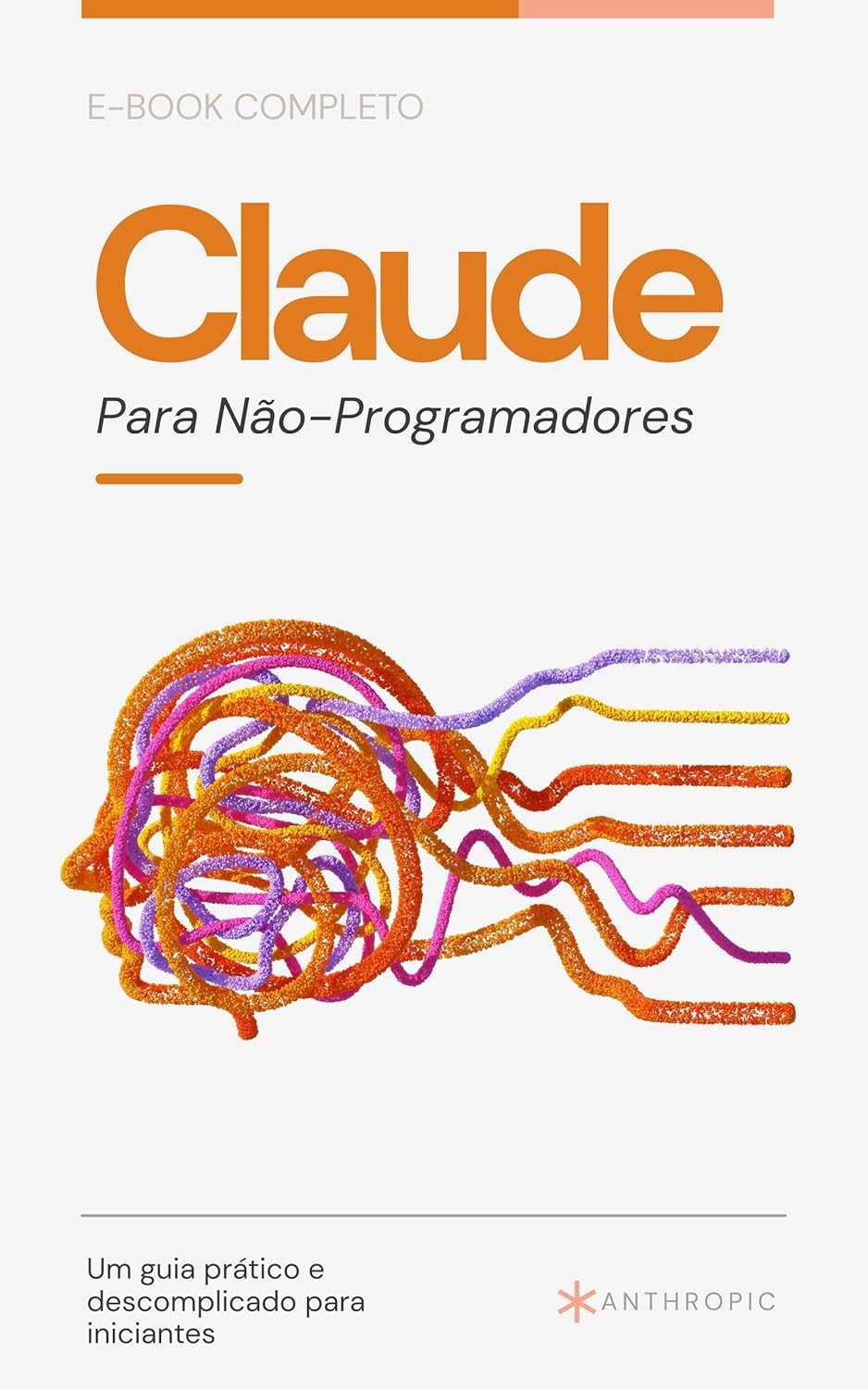 Capa de Claude para Não-Programadores